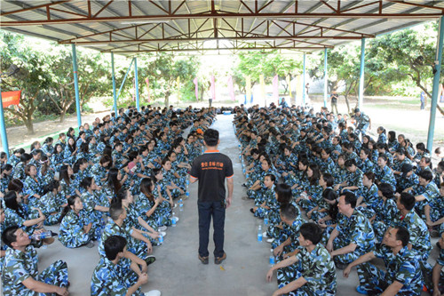 金馬爭(zhēng)霸，學(xué)院席地而坐