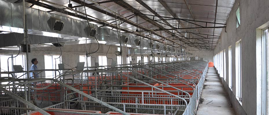 東莞環(huán)?？照{工程