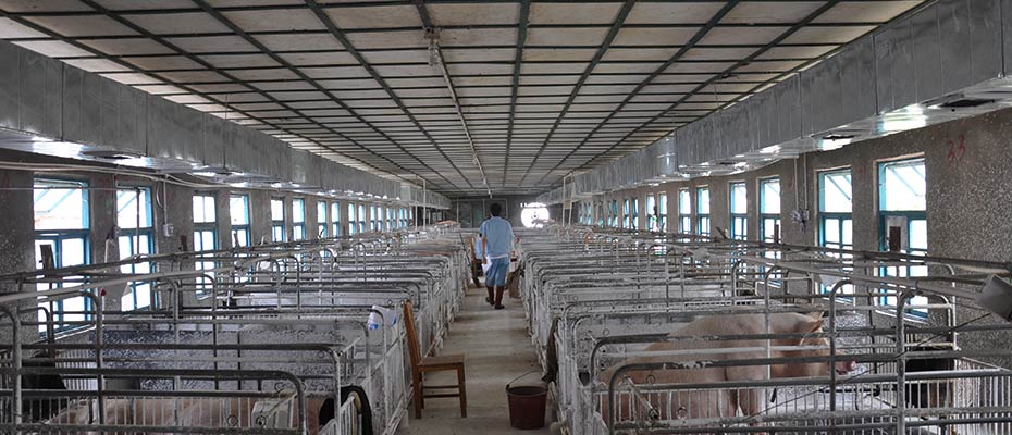 東莞環(huán)?？照{安裝